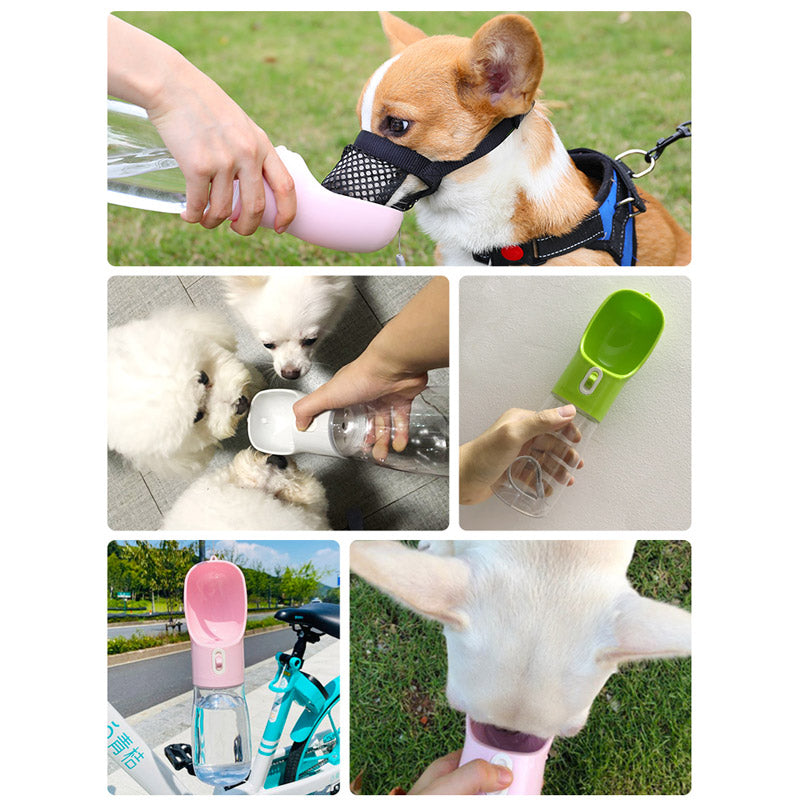 Pet Water Bottle/Feeder