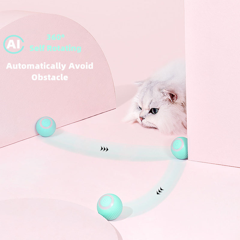 Interactive Cat Ball Toys