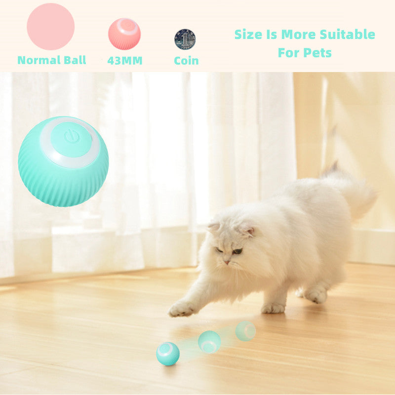Interactive Cat Ball Toys